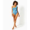 Caelum Ruffle One-Piece Swimsuit