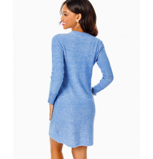 Morgen Sequin Sweater Dress