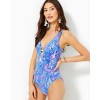 Jaspen One-Piece Swimsuit