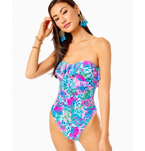 Rubyann One-Piece Swimsuit