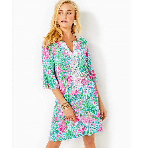 Krysta Tunic Dress